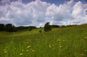 251ecb96cb7670549c1f6a3b68c6aed8