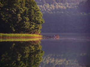 Binduga - miejsca spławu drzewa