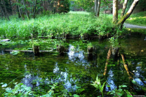 Za chwilę Omulew spotka Czarną